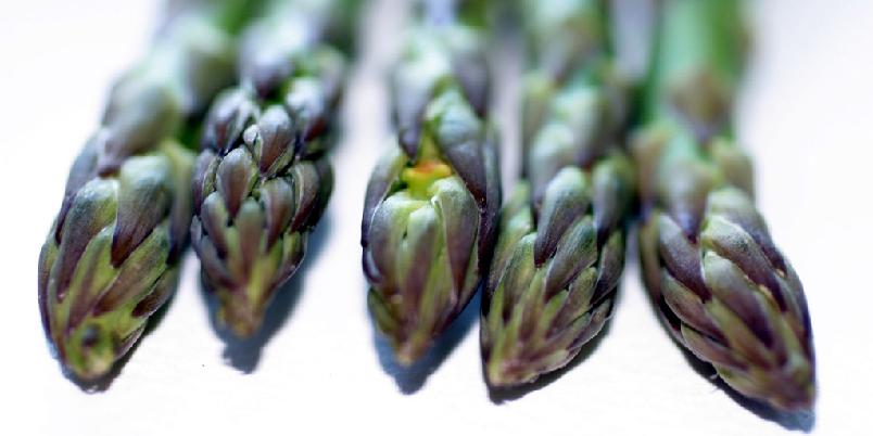 Foto: istock
